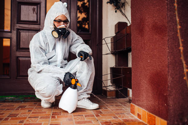 Reliable Cockroach Control contractor in Eugene, OR by Nex Pest Control