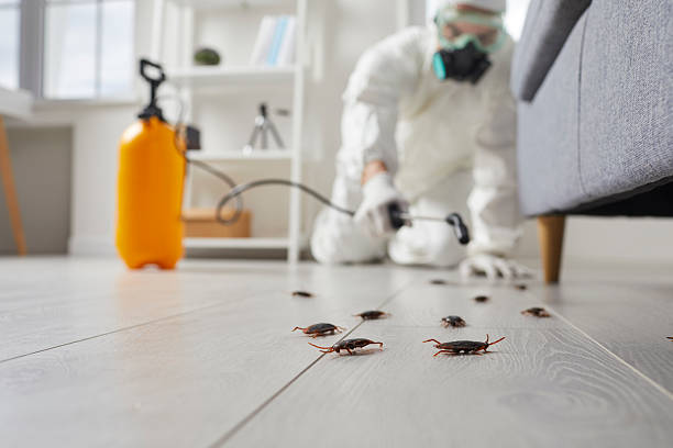 Affordable Cockroach Control solutions in Eugene, OR